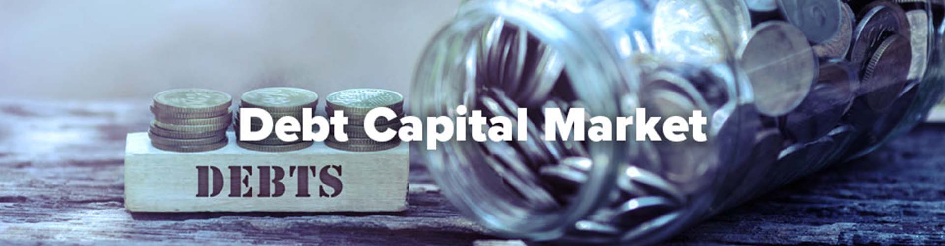 debt capital market